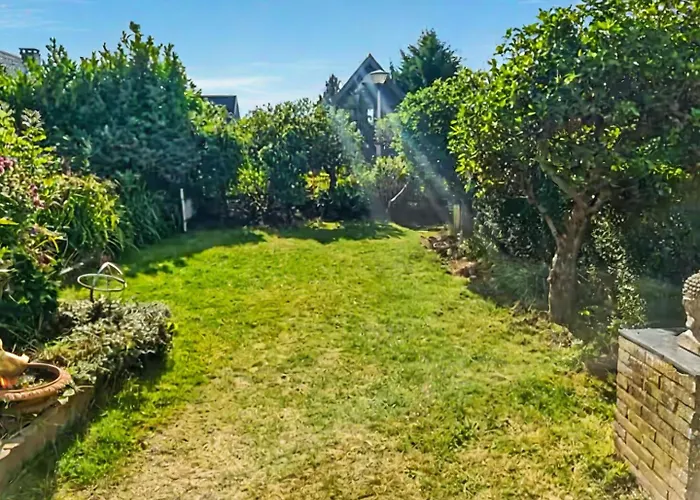 Spacious Nature Escape, House For 6 Near Amsterdam & Sea